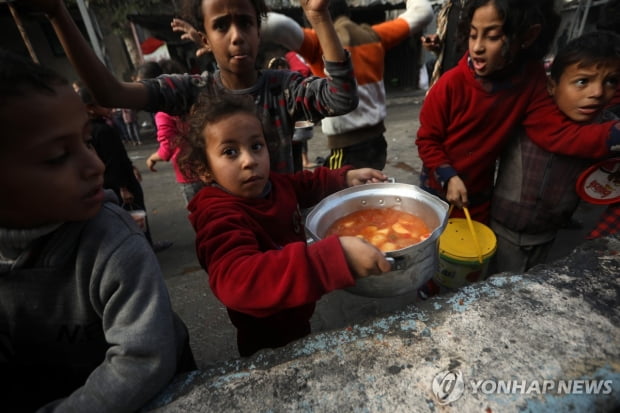 International Relief Efforts in Gaza: Urgent Ceasefire Needed